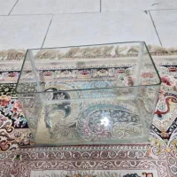 آکواریوم