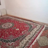 اجاره-خونه-مجردی-یا-زن-وشوهر-جوان