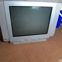 تلوزیون