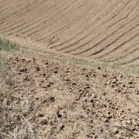 فروش زمین در روستای سوسرا|فروش زمین و ملک کلنگی|نوده خاندوز, |دیوار