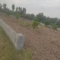 زمین کشاورزی