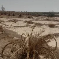 فروش چاه آب کشاورزی وزمین|اجارهٔ دفتر صنعتی، کشاورزی، تجاری|ایرانشهر, |دیوار