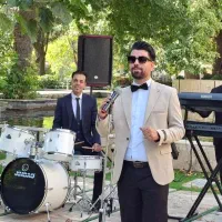 ودینگ ، گروه موزیک ، موزیک ViP