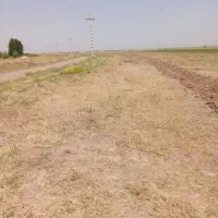 فروش زمین تجاری وقابلیت کشاورزی و پرورش طیور|فروش دفتر صنعتی، کشاورزی، تجاری|تاکستان, |دیوار