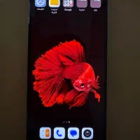 گوشی شیامی Note 12pro 256g