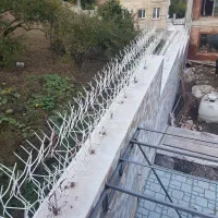 حفاظ شاخ گوزنی