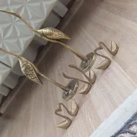 قو بزرگ و کوچیک