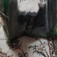 پوتین سربازی|کیف، کفش، کمربند|کاشان, امام خمینی|دیوار