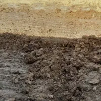 خاک کود