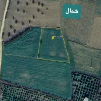 زمین-کشاورزی-روستای-ریحان-آباد-محور-گلوگاه-بهشهر