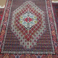 فرش دست بافت|فرش|سنندج, |دیوار