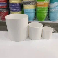 پخش انواع گلدانهای مشکی گلخانه ای|گل و گیاه طبیعی|پاسارگاد, |دیوار