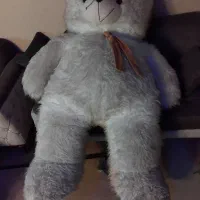 خرس بزرگ دومتری