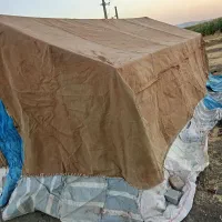 چادر|کوهنوردی و کمپینگ|دزفول, |دیوار