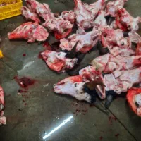 پخش مغز زبان گوشت صورت گوساله تازه کشتار روز|خوردنی و آشامیدنی|تهران, فدک|دیوار