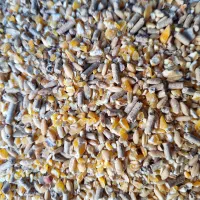 دان مرغ اردک غاز بوقلمون بلدرچین جوجه خوراک دام|حیوانات مزرعه|کرج, آق تپه|دیوار