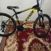 دوچرخه ویوا اصلی