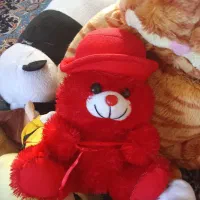 عروسک های زیبا تازه تازه|اسباببازی|سقز, |دیوار