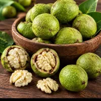 خرید گردو بالا درخت