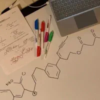 نگارش پایان نامه با بهترین قیمت و کیفیت اقساطی