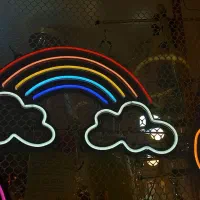 فروش و اجرای انواع طرح نئون فلکسی|ریسه و چراغ تزئینی|مراغه, |دیوار