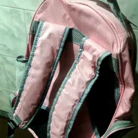 کیف حمل حیوانات خانگی .شکل فضایی|لوازم جانبی حیوانات|بانه, |دیوار