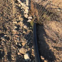 زمین ۲ بر زراعی کشاورزی گلخانه ای|فروش زمین و ملک کلنگی|نظرآباد, صالح آباد|دیوار