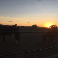 اصطبل اسب|اسب و تجهیزات اسب‌سواری|قم, قلعه عموحسین|دیوار