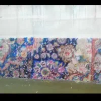 به تعدادی  بافنده ماهر برای فرش ۱۲ متری نیازمندیم