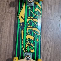 اسکیت برد حرفهای