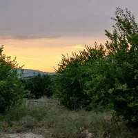 فروش باغ لیمو پشتکوه