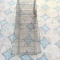 یه قفس دارم بفروش میرسد