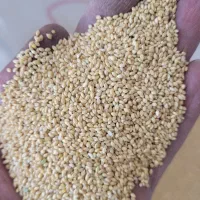 خوراک پرندگان به صورت عمده|لوازم جانبی حیوانات|اصفهان, قهجاورستان|دیوار