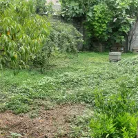 ۲۵۲ متر زمین کمربندی غربی کفشگرکلا هیرکانی...