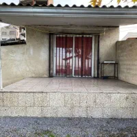 فیل-ماهی-خزر