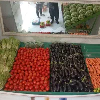 پالت میوه فروشی