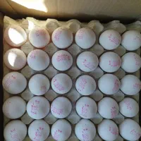 پخش تخم مرغ عمده تاریخ دار 7800تومان وترشیجات..