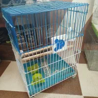 قفس|لوازم جانبی حیوانات|مرودشت, شهرک مهدیه|دیوار