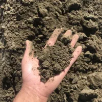 انواع خاک باغچه کاملا ارگانیک مخصوص گل گیاه طبیعی