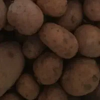 نیم کیلو سیب زمینی 550