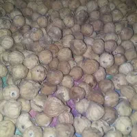 فروش انجیر