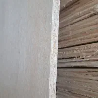 نوپان ایرانی