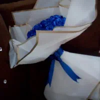 شارژ شد|گل مصنوعی|خرمشهر, |دیوار