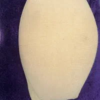 شکم بند بارداری پاکسمن