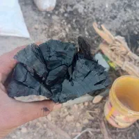 فروش زغال کبابی|عمدهفروشی|خرمدشت, |دیوار