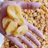 فروش قیسی امسال
