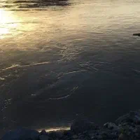 تور بانه