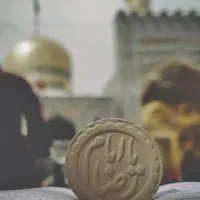 تورمشهد باقطار