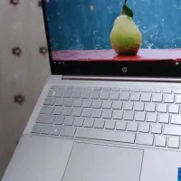 لبتاب hp|رایانه همراه|مریوان, |دیوار