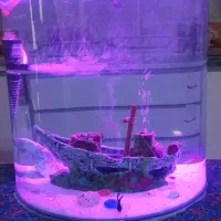 آکواریوم شیشه خمیده